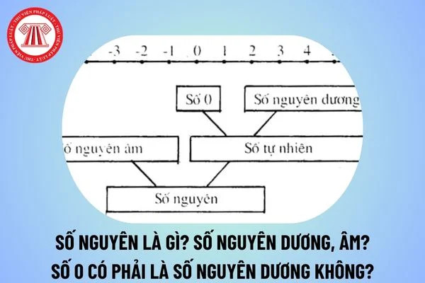 Số nguyên là gì? Khám phá thế giới số học và môn Toán trong giáo dục phổ thông